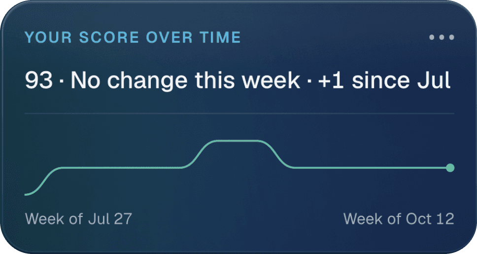 The 'Your score over time' card from the app: 93, no change this week, plus 1 since July.
